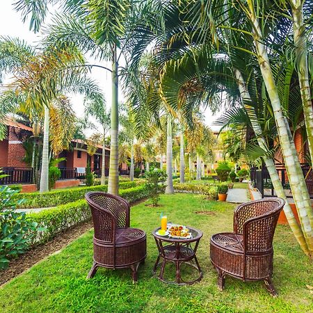 Hotel Vision Safari Pvt Ltd Sauraha Zewnętrze zdjęcie