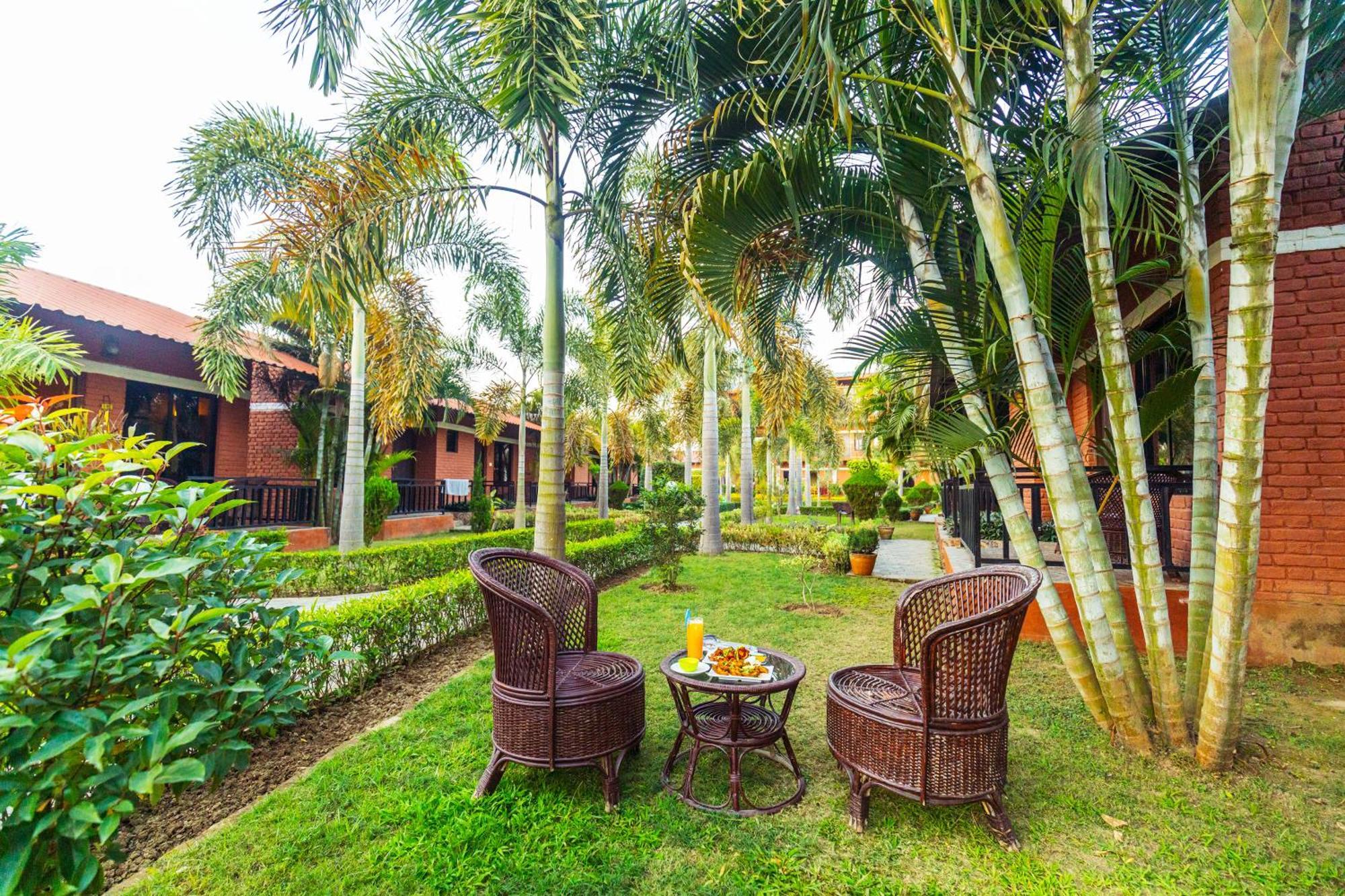 Hotel Vision Safari Pvt Ltd Sauraha Zewnętrze zdjęcie